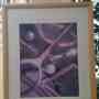 Sale used picture Frame 24 x 30  Reduced Price slightly used