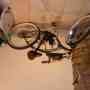 The best offer motorized mens 26 beach cruiser, brand new, only 50 miles on it!!!! cheap